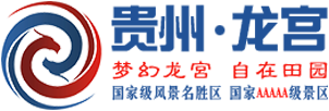 贵州安顺龙宫旅游有限责任公司
